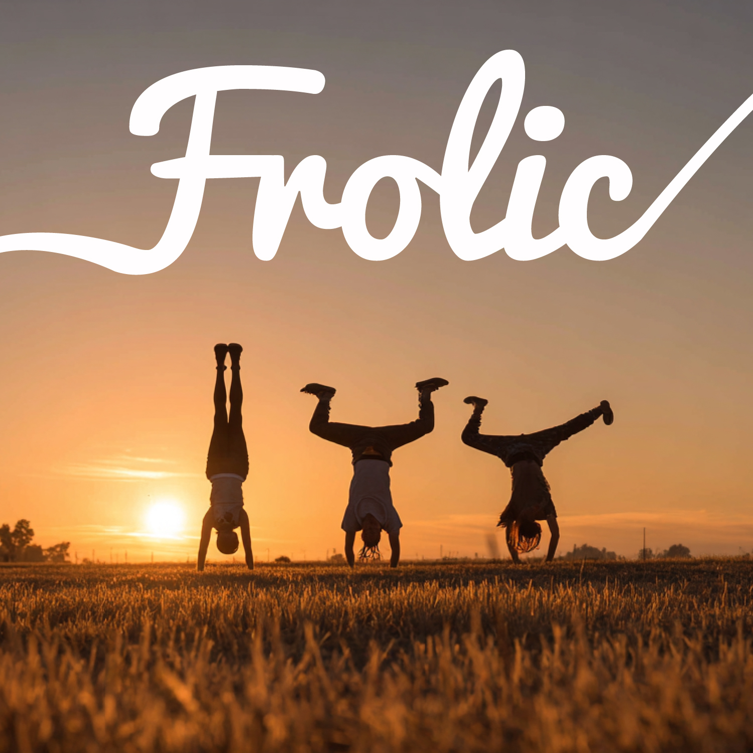 Frolic